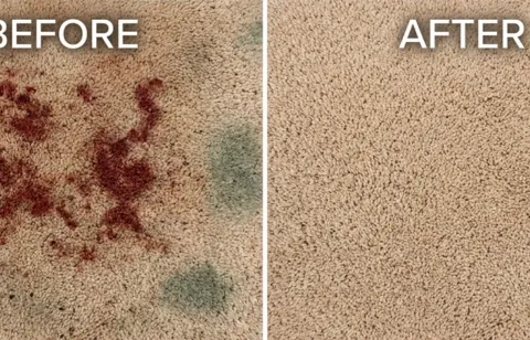 Before and after move-out carpet cleaning — Calle de Guadalupe, Mesilla NM 88046