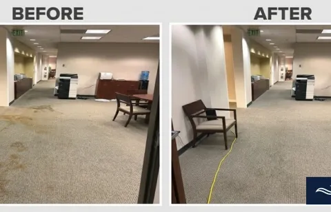 Before and after commercial carpet cleaning, stain trails — I-10 corridor, Dona Ana County NM