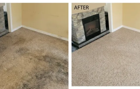 Before and after desert dust and pecan pollen carpet cleaning — Cristo Rey Street, Dona Ana NM