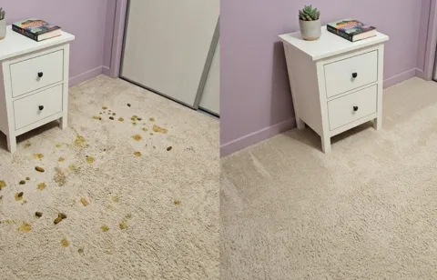 Before and after new puppy accidents carpet cleaning, three rooms — Sunland Park NM
