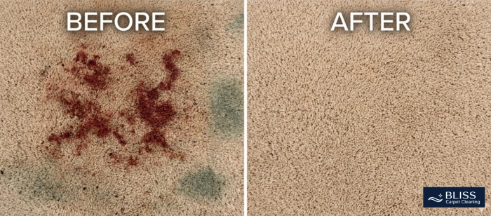 Before and after move out carpet cleaning red clay stain Calle de Guadalupe Mesilla NM