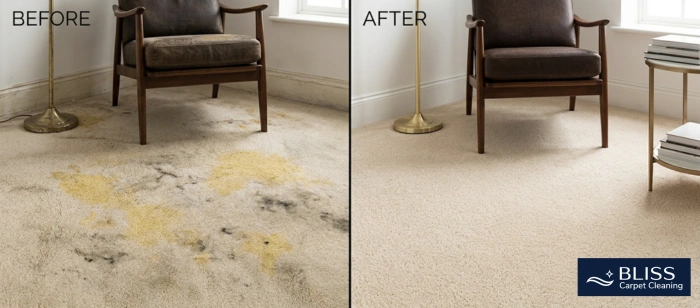 Before and after pet urine carpet cleaning Avenida de Mesilla NM 88046