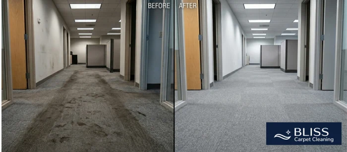 Before and after commercial carpet cleaning office building Telshor Boulevard Las Cruces NM