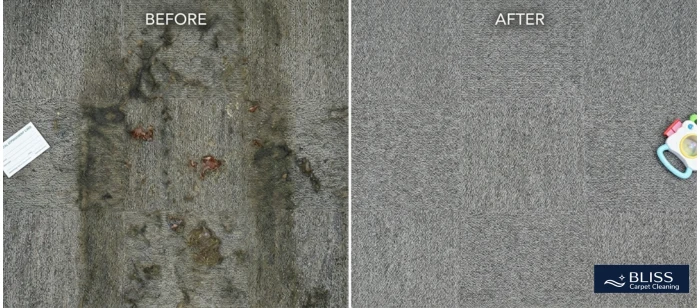 Before and after medical clinic carpet cleaning allergen removal East Mesa Las Cruces NM