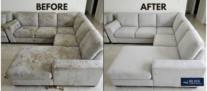 Before and after microfiber sectional sofa pet stain cleaning Mesilla NM near Old Mesilla Plaza
