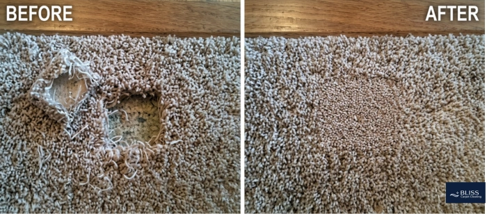 Before and after move out carpet cleaning cat stains NMSU Las Cruces NM full deposit returned 2