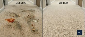 Before and after move out carpet cleaning rental property near NMSU Las Cruces NM
