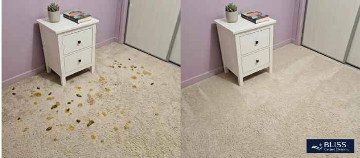 Before and after new puppy accidents carpet cleaning three rooms Sunland Park NM