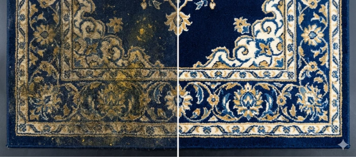 Before and after pet urine odor removal wool rug East Mesa Las Cruces NM