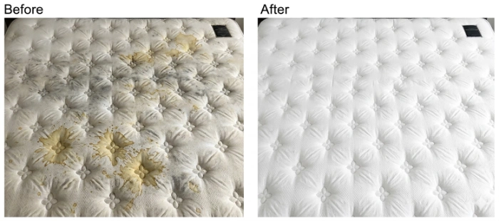 Before and after rental mattress cleaning urine stains Sunland Park NM