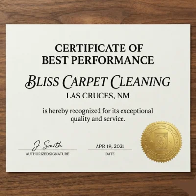 Best performance certified carpet cleaning Las Cruces NM