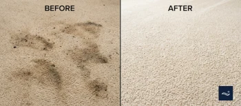 Professional carpet cleaning before and after pet stain removal Sonoma Ranch Las Cruces NM