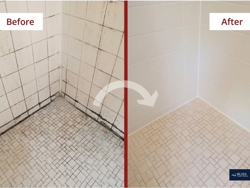 Tile and Grout Cleaning 2 Professional mold removal from bathroom grout Las Cruces NM hot water extraction