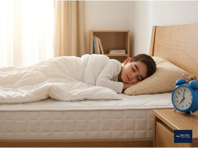 Safe eco friendly mattress cleaning for kids and pets Las Cruces NM