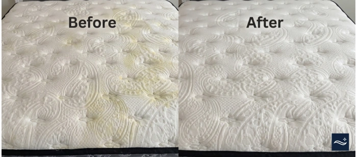 mattress before after professional cleaning yellow stain pet odor split
