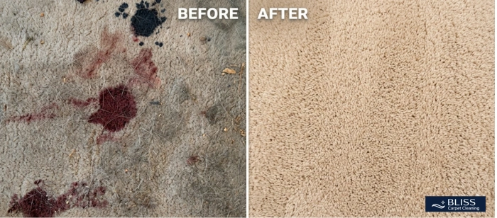 Before and after allergen carpet cleaning cat hair dust Mesilla Valley Las Cruces NM