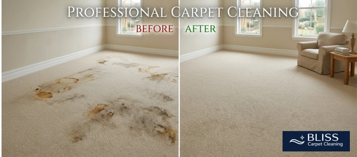 Before and after move out rental carpet cleaning NM 28 corridor Vado NM