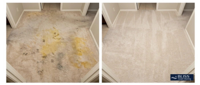 Before and after pet urine carpet cleaning Meadow Vista Sunland Park NM 88063