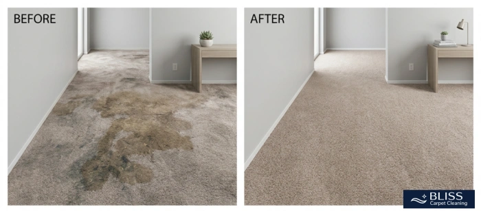 Before and after pet urine carpet cleaning allergen treatment Thorpe Road Dona Ana NM