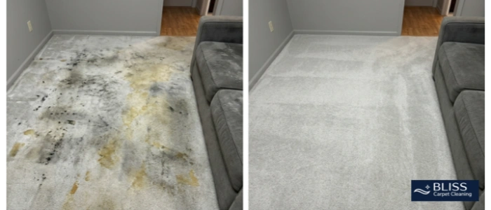 Before and after rental carpet cleaning move in Anapra neighborhood Sunland Park NM