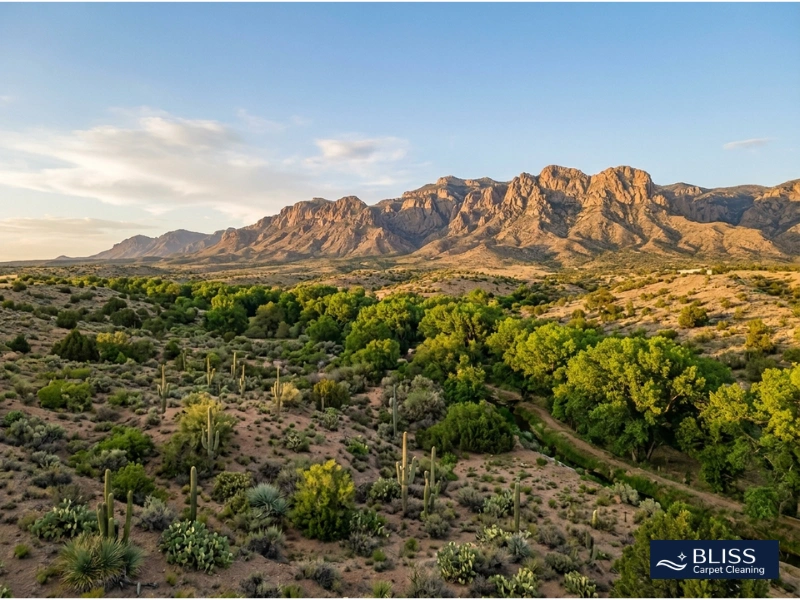carpet cleaning Dona Ana NM 2 Dona Ana NM village Robledo Mountains desert community