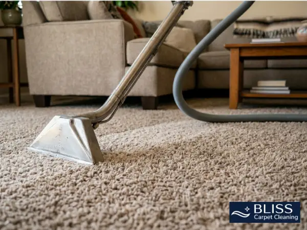 clean-carpet-result