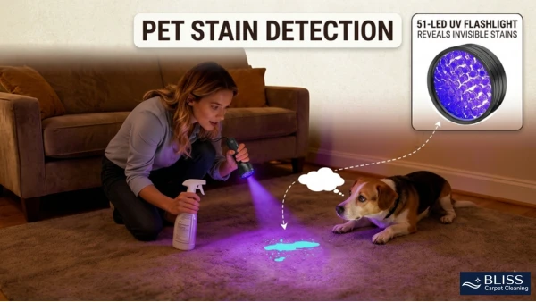 uv-black-light-detection-tool