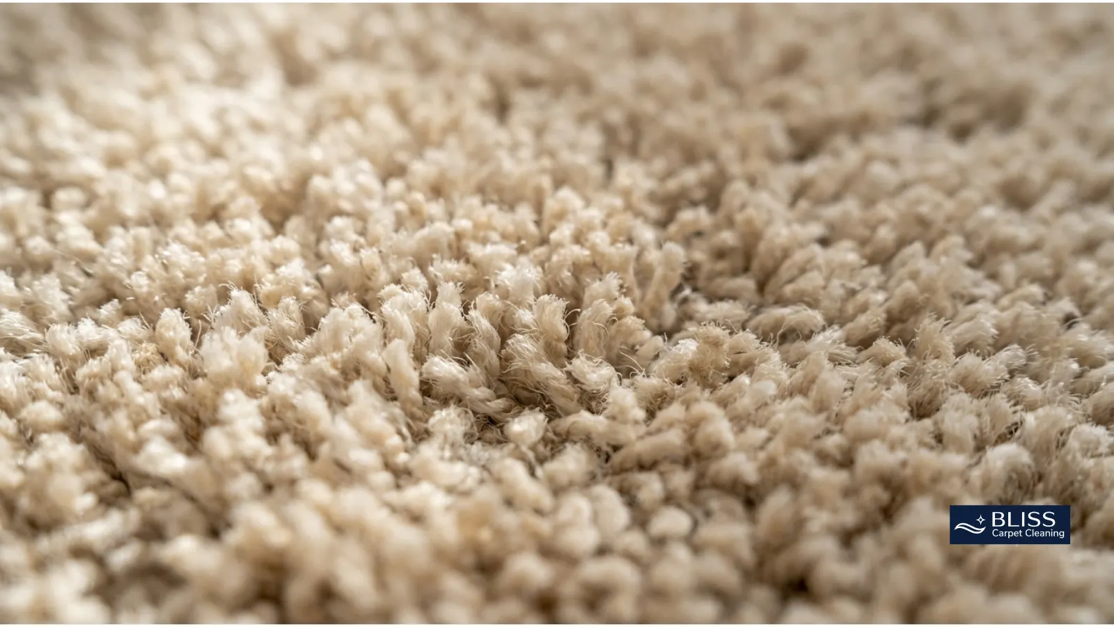Close-up carpet fiber texture