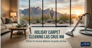 Holiday Carpet Cleaning Las Cruces NM 3 holiday carpet cleaning Las Cruces NM