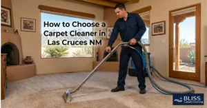 how to choose carpet cleaner Las Cruces NM