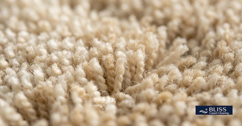 Close-up of natural wool carpet fiber texture